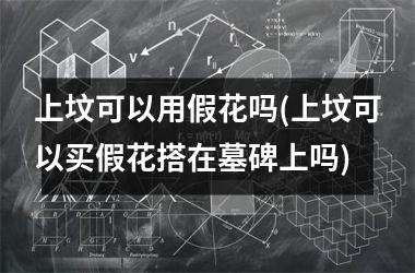 上坟可以用假花吗(上坟可以买假花搭在墓碑上吗)