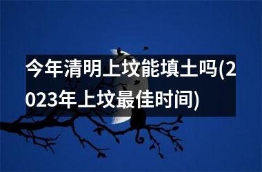 今年清明上坟能填土吗(2025年上坟最佳时间)