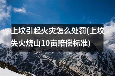 上坟引起火灾怎么处罚(上坟失火烧山10亩赔偿标准)