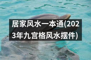 居家风水一本通(2025年九宫格风水摆件)