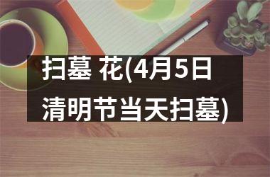 扫墓 花(4月5日清明节当天扫墓)