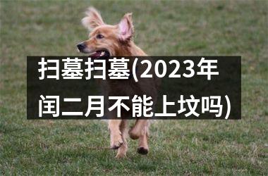 扫墓扫墓(2025年闰二月不能上坟吗)