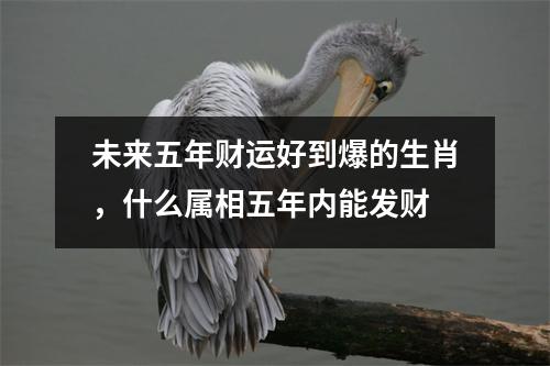 <h3>未来五年财运好到爆的生肖，什么属相五年内能发财