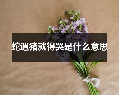 <h3>蛇遇猪就得哭是什么意思
