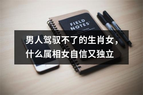 <h3>男人驾驭不了的生肖女，什么属相女自信又独立