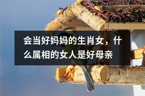 <h3>会当好妈妈的生肖女，什么属相的女人是好母亲