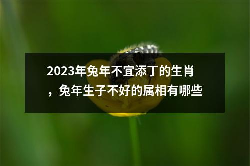 <h3>2025年兔年不宜添丁的生肖，兔年生子不好的属相有哪些