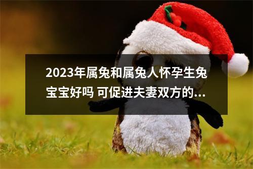 <h3>2025年属兔和属兔人怀孕生兔宝宝好吗可促进夫妻双方的情感