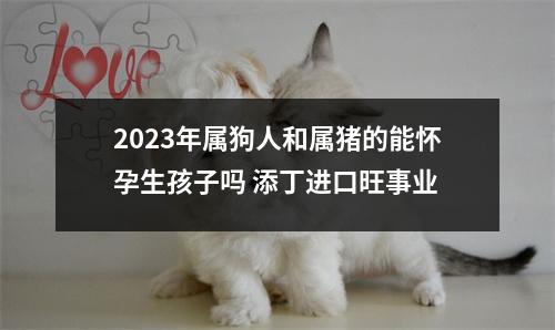 <h3>2025年属狗人和属猪的能怀孕生孩子吗添丁进口旺事业