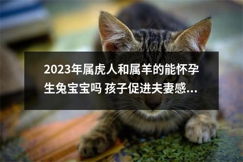 <h3>2025年属虎人和属羊的能怀孕生兔宝宝吗孩子促进夫妻感情