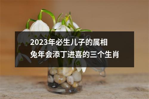 <h3>2025年必生儿子的属相兔年会添丁进喜的三个生肖