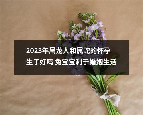 <h3>2025年属龙人和属蛇的怀孕生子好吗兔宝宝利于婚姻生活