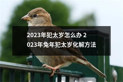 <h3>2025年犯太岁怎么办2025年兔年犯太岁化解方法