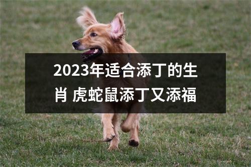 <h3>2025年适合添丁的生肖虎蛇鼠添丁又添福