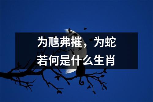 <h3>为虺弗摧，为蛇若何是什么生肖