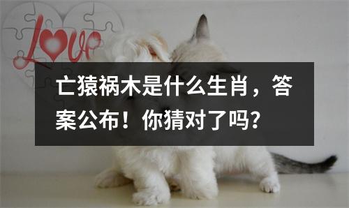 <h3>亡猿祸木是什么生肖，答案公布！你猜对了吗？