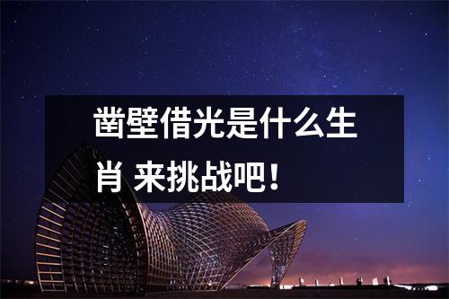 <h3>凿壁借光是什么生肖来挑战吧！