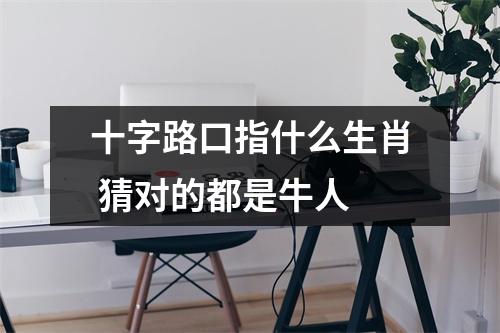 <h3>十字路口指什么生肖猜对的都是牛人