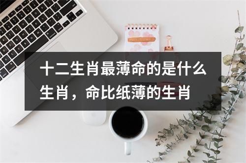 <h3>十二生肖薄命的是什么生肖，命比纸薄的生肖