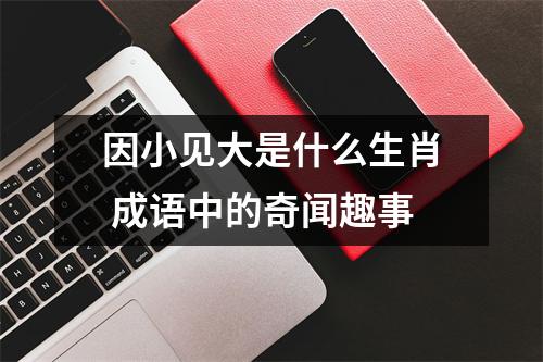 <h3>因小见大是什么生肖成语中的奇闻趣事