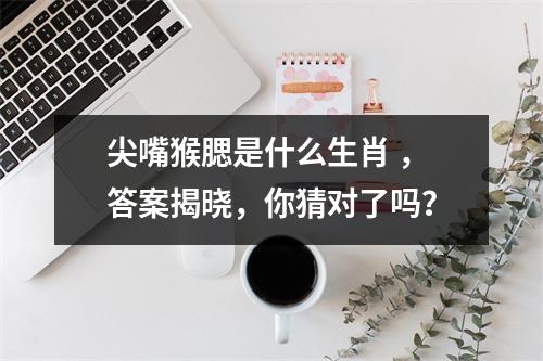 <h3>尖嘴猴腮是什么生肖，答案揭晓，你猜对了吗？