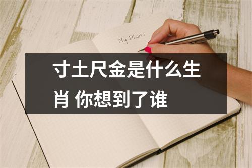 <h3>寸土尺金是什么生肖你想到了谁
