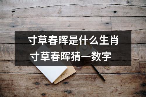 <h3>寸草春晖是什么生肖寸草春晖猜一数字
