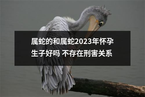 <h3>属蛇的和属蛇2025年怀孕生子好吗不存在刑害关系