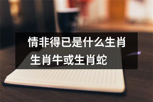 <h3>情非得已是什么生肖生肖牛或生肖蛇