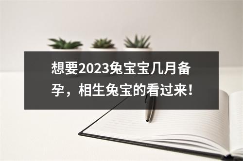 <h3>想要2025兔宝宝几月备孕，相生兔宝的看过来！