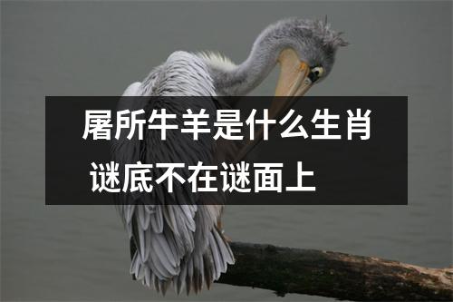 <h3>屠所牛羊是什么生肖谜底不在谜面上