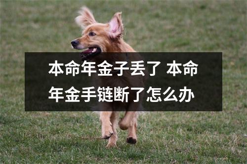 本命年金子丢了本命年金手链断了怎么办