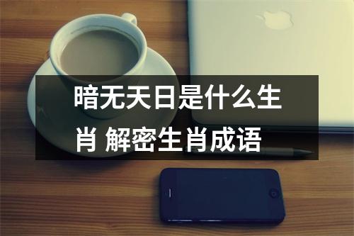 <h3>暗无天日是什么生肖解密生肖成语