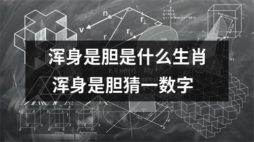 <h3>浑身是胆是什么生肖浑身是胆猜一数字