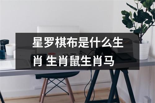 <h3>星罗棋布是什么生肖生肖鼠生肖马