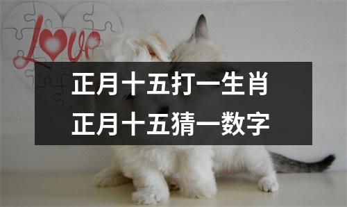 <h3>正月十五打一生肖正月十五猜一数字