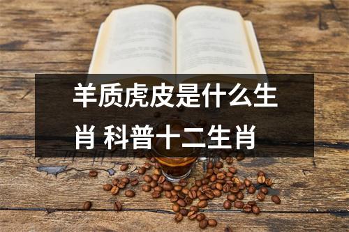 羊质虎皮是什么生肖科普十二生肖