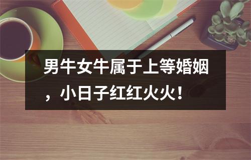 <h3>男牛女牛属于上等婚姻，小日子红红火火！