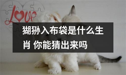 猢狲入布袋是什么生肖你能猜出来吗