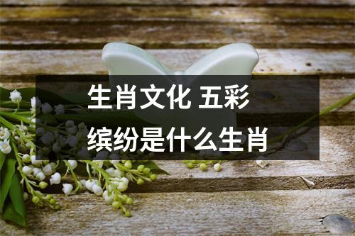 生肖文化五彩缤纷是什么生肖