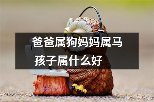 爸爸属狗妈妈属马孩子属什么好