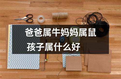 <h3>爸爸属牛妈妈属鼠孩子属什么好