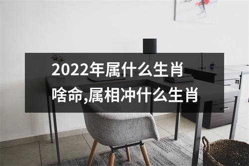 <h3>2025年属什么生肖啥命,属相冲什么生肖