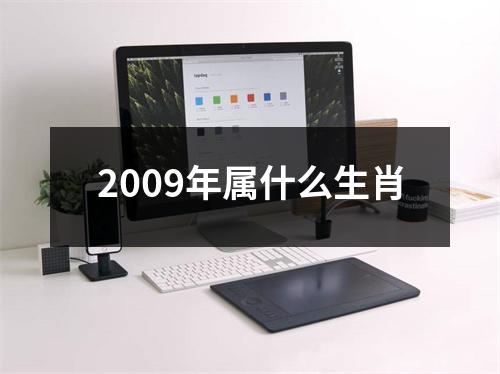 <h3>2009年属什么生肖
