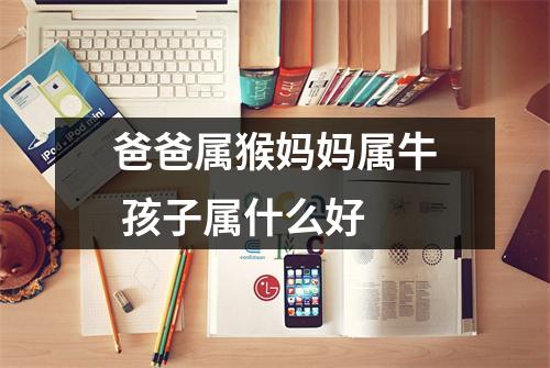 <h3>爸爸属猴妈妈属牛孩子属什么好