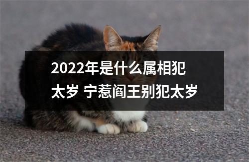 <h3>2025年是什么属相犯太岁宁惹阎王别犯太岁