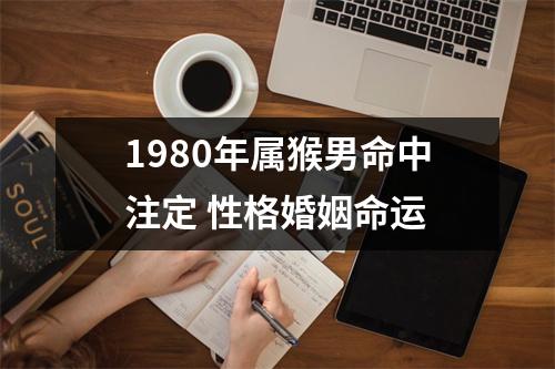 <h3>1980年属猴男命中注定性格婚姻命运