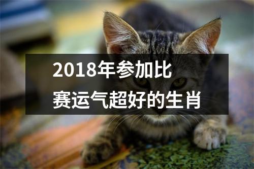 <h3>2018年参加比赛运气超好的生肖