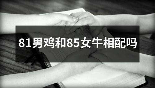 <h3>81男鸡和85女牛相配吗