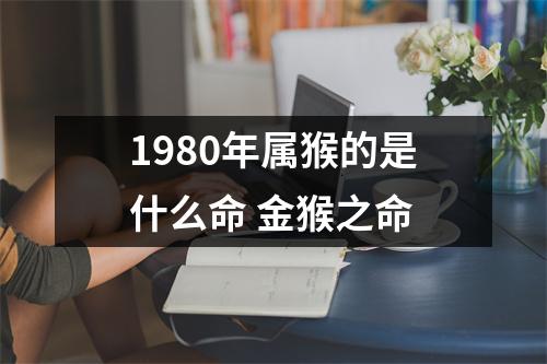 <h3>1980年属猴的是什么命金猴之命